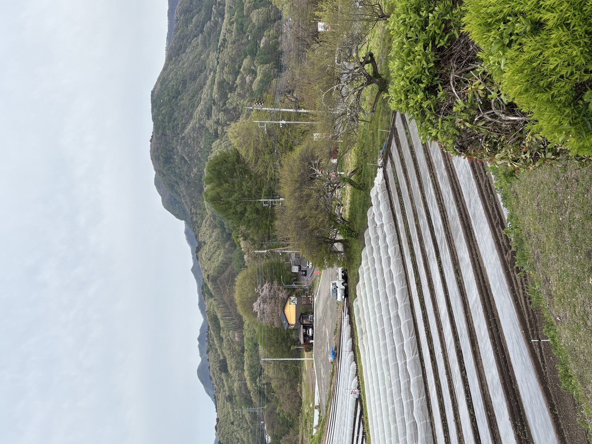 農場の風景